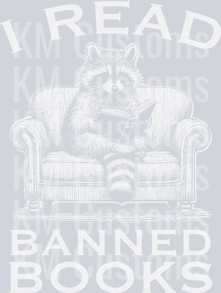 Raccoon Reading on Sofa