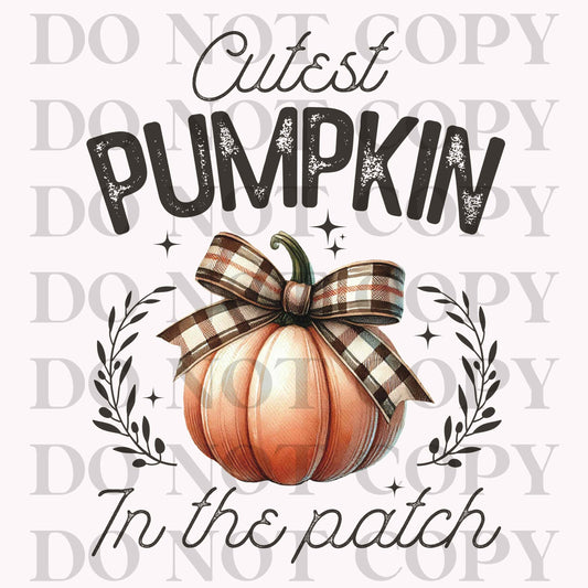 Cutest Pumpkin In The Patch