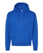 Hanes Unisex HoodieHoodie