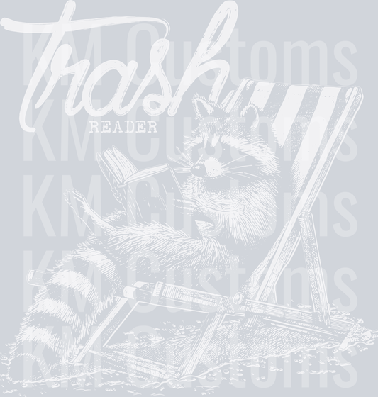 Raccoon on Beach Chair Reading