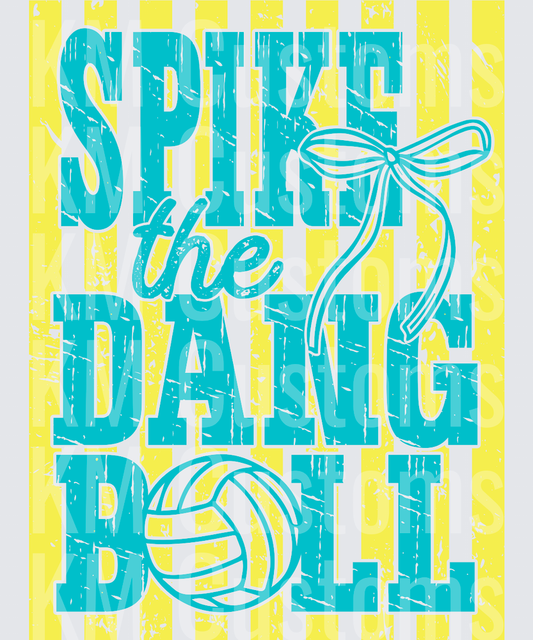 Spike The Dang Ball