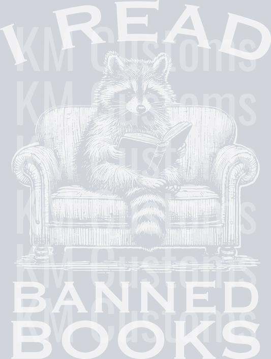 Raccoon Reading on Sofa