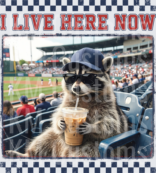 Baseball Racoon