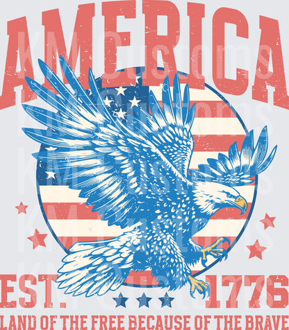 'Merica - Raw Image